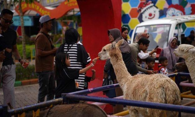 Thru Jatim Park 2, Spot Rehat Dengan Beragam Hiburan Di Rest Area