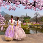 Spring Getaways 2026: Musim Semi Jepang, Korea & China