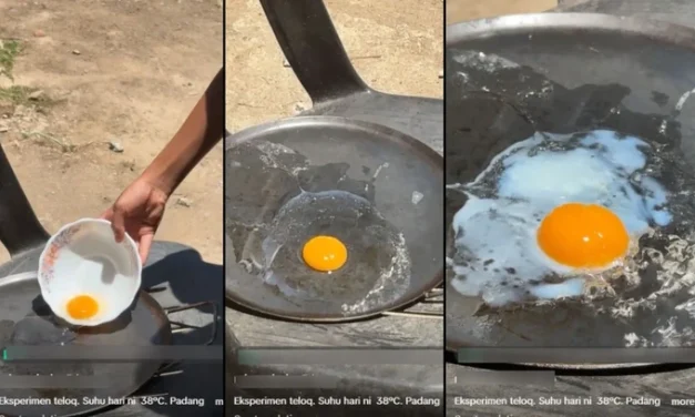 Suhu 38 Derajat C, Pria Ini Bisa Masak Telur Di Bawah Matahari