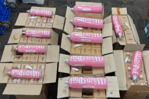 Netizen Heboh, Asisten YouTuber RA Kedapatan Bawa Whip Pink