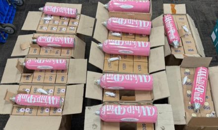 Netizen Heboh, Asisten YouTuber RA Kedapatan Bawa Whip Pink