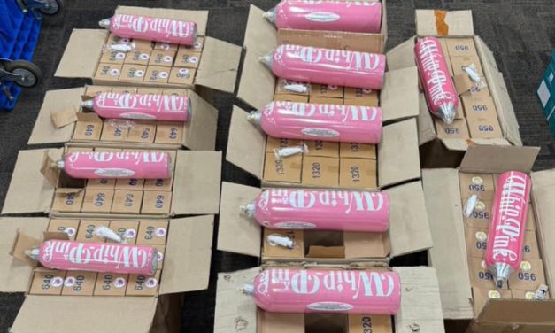 Netizen Heboh, Asisten YouTuber RA Kedapatan Bawa Whip Pink