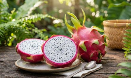 Buah Naga Untuk Tipes, Ringan Di Perut Kaya Nutrisi