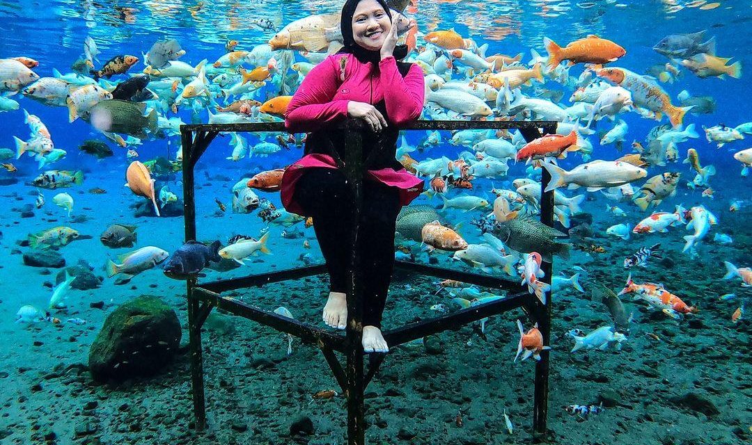 Bikin Takjub! Umbul Ponggok Air Jernih, Spot Foto Bawah Air
