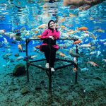 Bikin Takjub! Umbul Ponggok Air Jernih, Spot Foto Bawah Air
