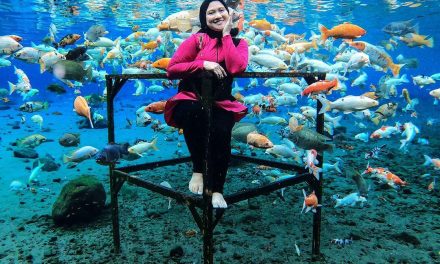Bikin Takjub! Umbul Ponggok Air Jernih, Spot Foto Bawah Air