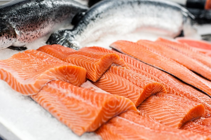 Ikan Salmon
