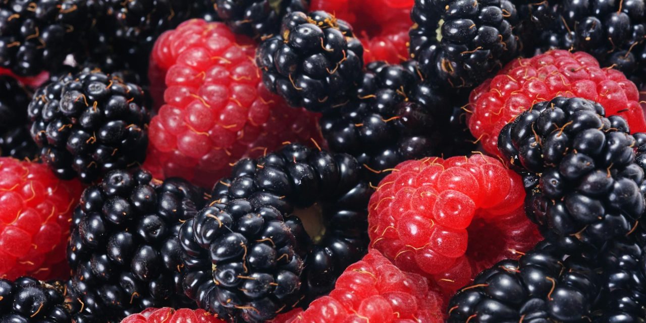 Bikin Sehat! Blackberry Dan Raspberry Kaya Serat Dan Nutrisi