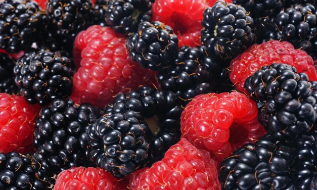 Bikin Sehat! Blackberry Dan Raspberry Kaya Serat Dan Nutrisi
